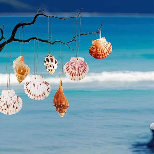 20 PCS Christmas Tree Hanging Ornaments Natural Starfish Sea Shells Decorations Beach Style for Wedding Birthday Craft Projects
