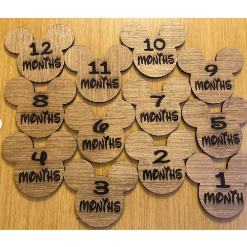 Mickey Monthly Baby MileStone
etsy.com