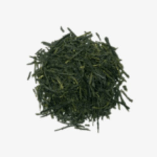 Home - Dragonfly Shimoda