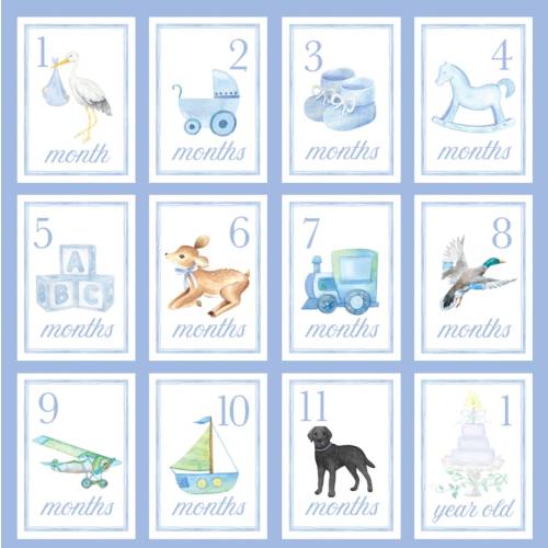 Blue Watercolor Monthly Milestone Card Set - Baby Boy