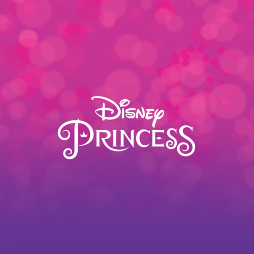 Disney Princess Snack Containers – Whiskware