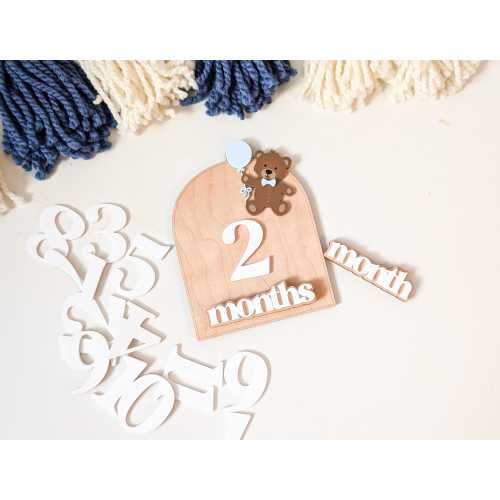Teddy Berar Baby Monthly Milestone Arch, Markers Photo Prop Wood Keepsake