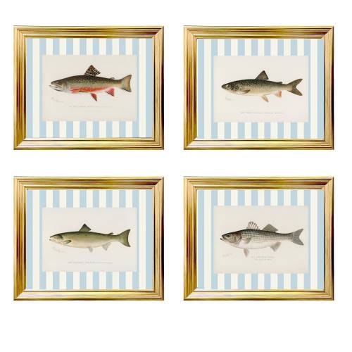 Set of 4 Vintage Fish Prints, Southern Classic Art, Trout Vintage Art, Boy Nursery Art, Vintage Hunting Prints