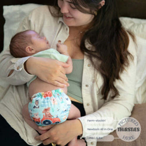 Best Rated Newborn All in One Cloth Diaper