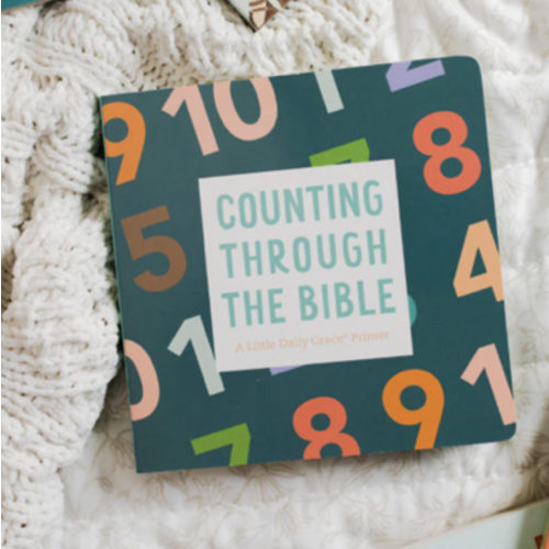 Counting Through the Bible Board Book – The Daily Grace Co.