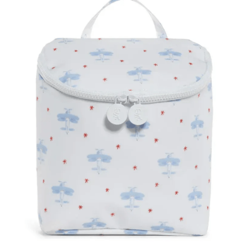 Take Away Insulated Bag, David's Airplanes – Baby Braithwaite