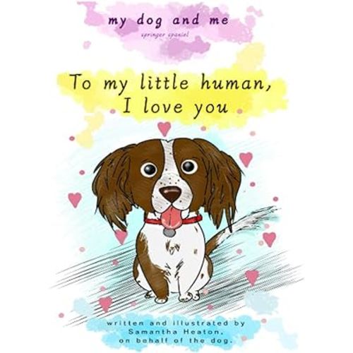 My dog and me: Springer spaniel