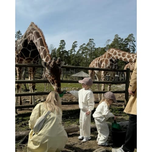 Zoo, Farm & Aquarium Fund