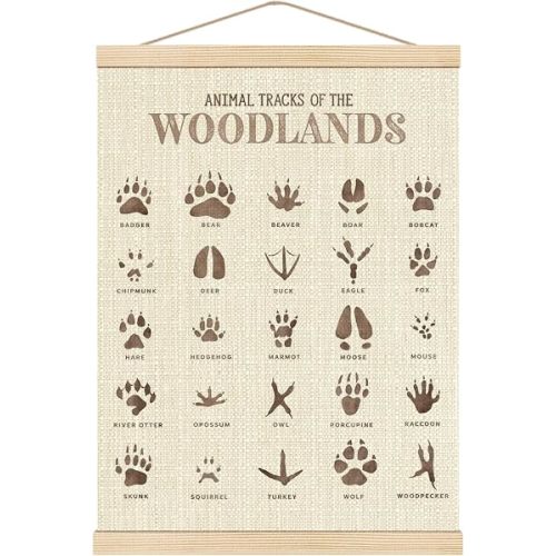 Boat Wades Animal Footprints Poster Hanger Frame, Kids Bathroom Playroom Decor, Footprints Nursery Hanging Banner Wall Art Decor for Toddler Kids Girl Boy Room Classroom, 12x16 Inch