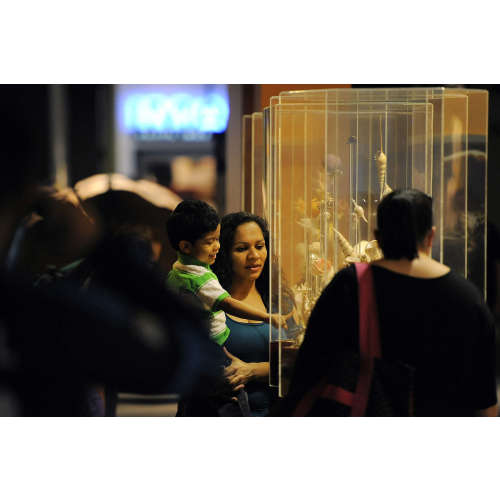Membership | Denver Museum of Nature & Science