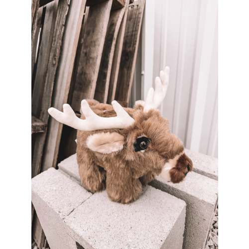 Stuffed Piggy Bank - Deer