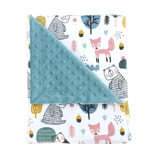 NS Brook Baby Blanket 30 X 40 Inches, Unique Design and Super Soft Minky with Double Layer Dotted Backing for Newborn and Toddler, Best for Unisex