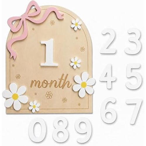 Baby Monthly Milestone Signs,1-12 Monthly Baby Milestone, Wooden Milestone