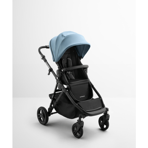 Single-to-Double Stroller 3.0