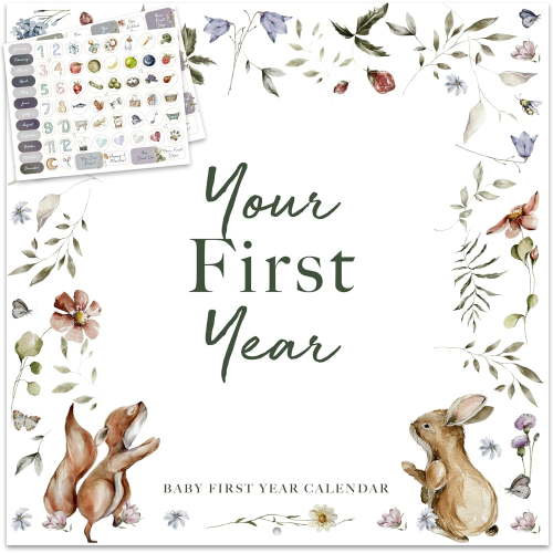 Baby's First Year Memory & 1st Year Calendar with 100 Stickers | Baby's First Year Calendar With Stickers & 1st Year Calendars, Baby Tracker