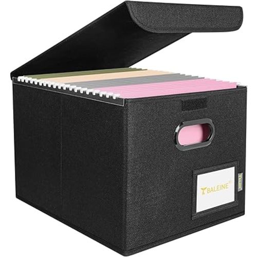 BALEINE File Organizer Box with Lid, Collapsible File Folder Organizer with Plastic Slide, Hanging File Folder Box for Office Document Storage (1 Pack, Black)