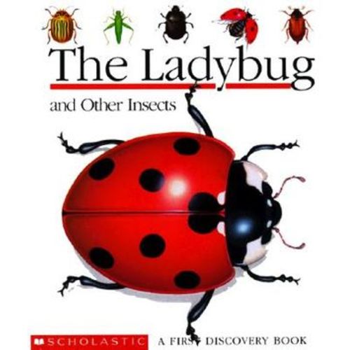 The Ladybug and Other Insects