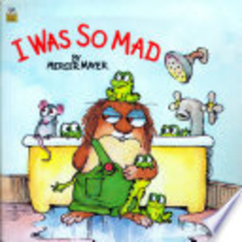 I Was So Mad (Little Critter) - Mercer Mayer
