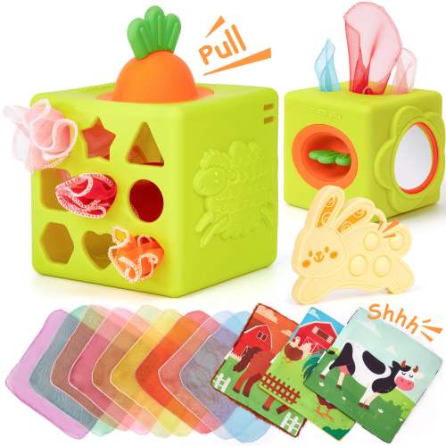 Silicon Carrot Tissue Box
