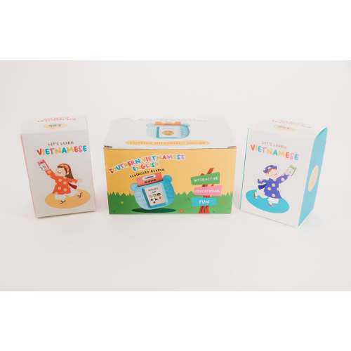 Vietnamese English Flashcard Reader