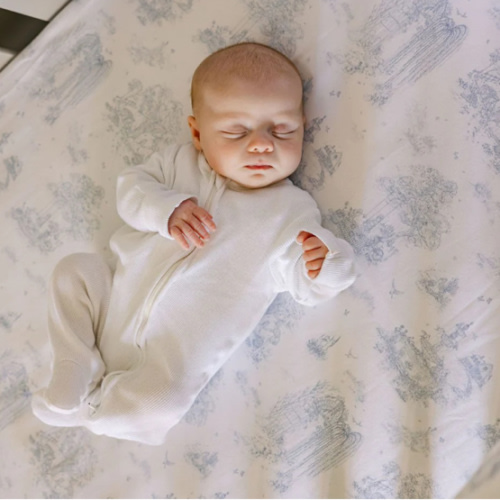 Spring Toile Blue Fitted Crib Sheet