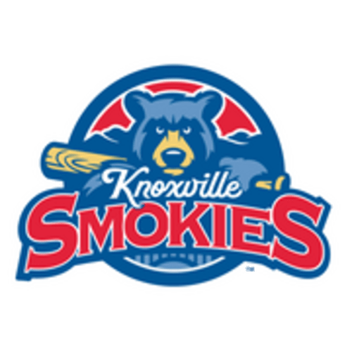 Stitchez Bear – Knoxville Smokies