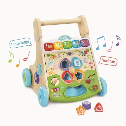 The Wooden Lights And Sound Learning Walker
