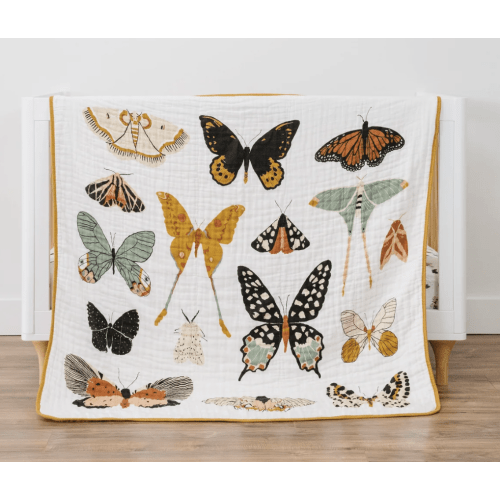 Butterfly Collector Quilt