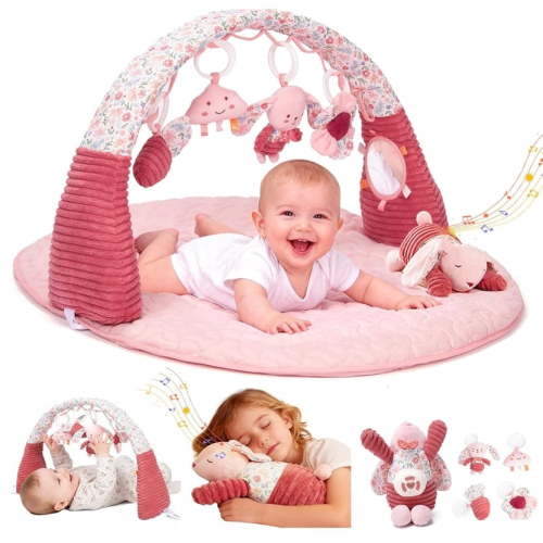 suihuooo Baby Gym Play Mat with 5 Detachable Sensory Toys for Newborn Boys Girls 0-12 Months