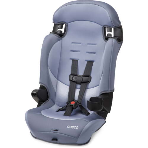 Cosco Kids Finale DX 2-in-1 Booster Car Seat, Organic Waves