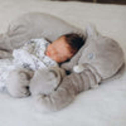 SoftJumbo™ Snuggly Comfort Cushion – Trend Delight