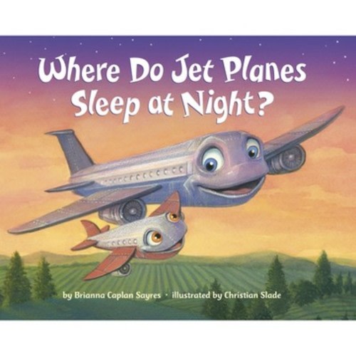 Where Do Jet Planes Sleep at Night by Brianna Caplan Sayres