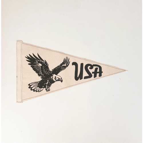 USA Vintage Eagle Pennant