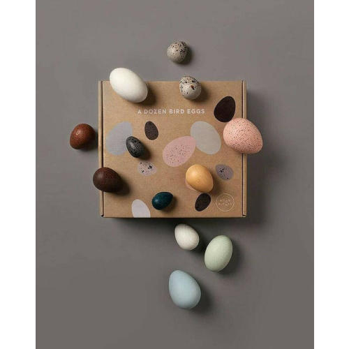 A Dozen Bird Eggs in a Box