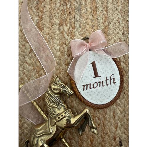 First Year Milestone Hoops | Brown Embroidered Baby Milestone Hoops | Month Sign with Bow | Monthly Photo Props with Bow | Baby Milestone
