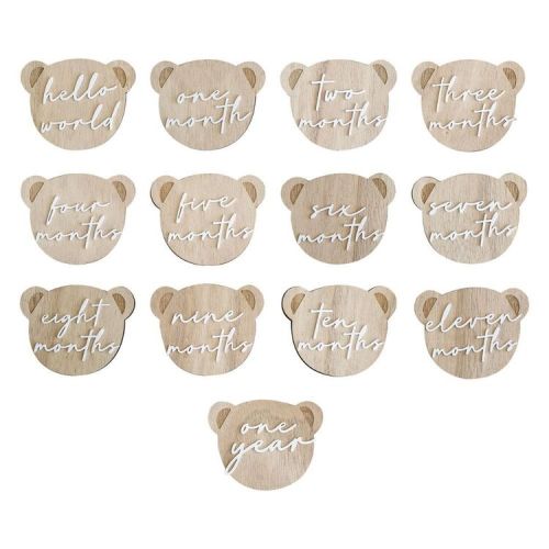 Ginger Ray Teddy Bear Baby Milestone Signs 13 Pack Multicoloured 13 Pieces