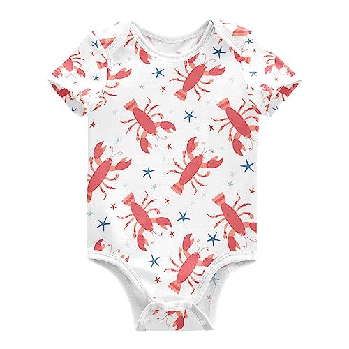 vvfelixl Baby Girl Short Sleeve Bodysuits,Horse Pony Zebra Donkey Baby Onepiece Outfits for 0-3 Months