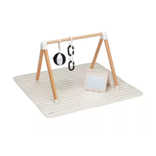 The Play Gym - Age 0-24 Months