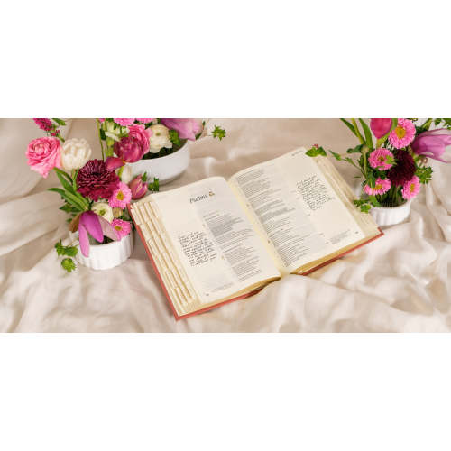 NLT Compact Bible: Sonora Theme | Hosanna Revival