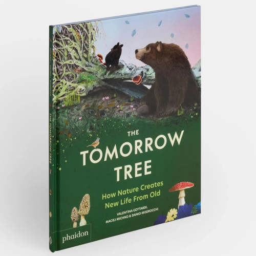 The Tomorrow Tree: How Nature Creates New Life from Old – Kinoko Kids