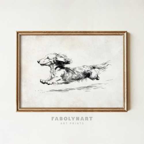 Long Haired Dachshund with Zoomies Print, Vintage Running Dog Sketch Painting, Dachshund Dog Mom Gift