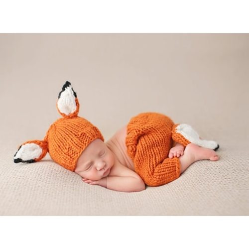 Fox Newborn Set