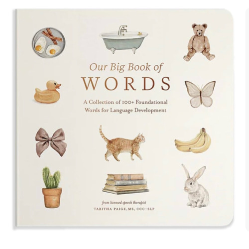 Our Big Book of First Words: A Collection of 100+ Foundational Words for Language Development (Tabitha Paige Children's Book Series)