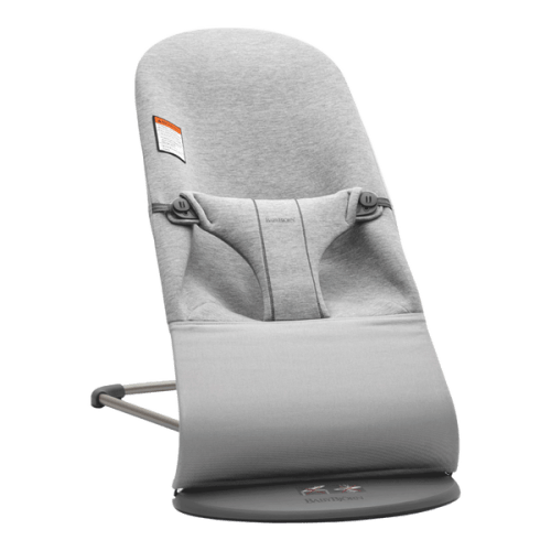 Babybjorn Bouncer Bliss | Stork Exchange