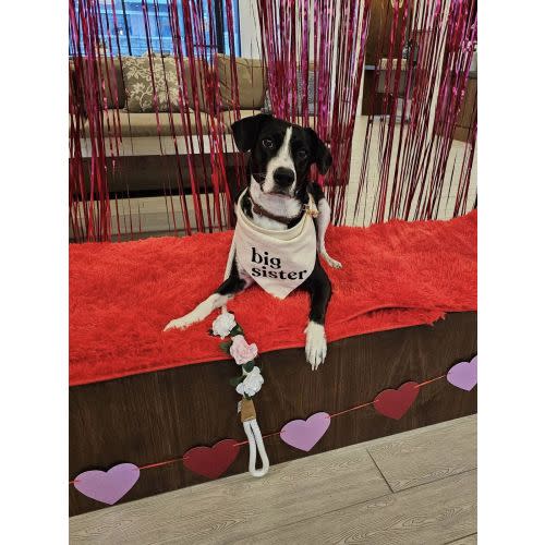 Pottery Barn Kids Baby Registry