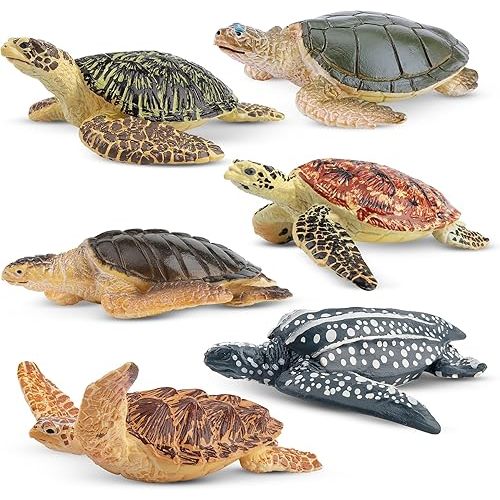 Toymany 6PCS Realistic Sea Turtle Figurines, Plastic Ocean Sea Animals Figures Set Includes of Turtles, Educational Toy Cake Toppers Christmas Birthday Gift for Kids Toddlers