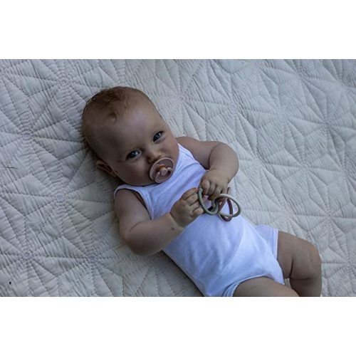 BIBS Baby Pacifiers | BPA-Free Natural Rubber Pacifier | Made in Denmark | Set of 2 Soothers (Woodchuck, 0-6 Months)