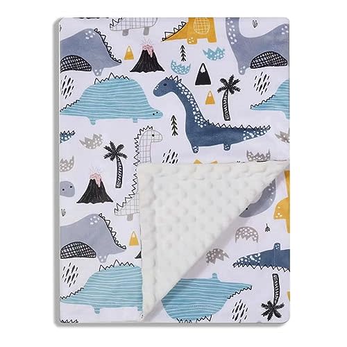 Donsonny Baby Blanket for Boys Girls Soft Minky with Double Layer Dotted Backing, Color Dinosaurs Printed 30 x 40 Inch Receiving Blanket