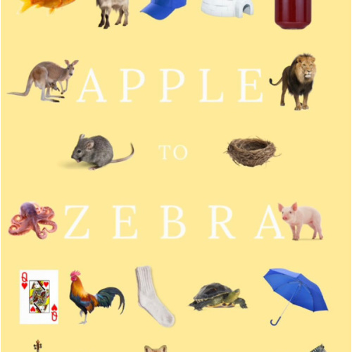 Apple to Zebra - A Primer Designed to Align with Phonics Instruction