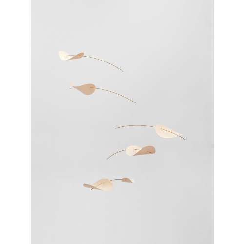 Drifting Clouds | Nature | Size L.